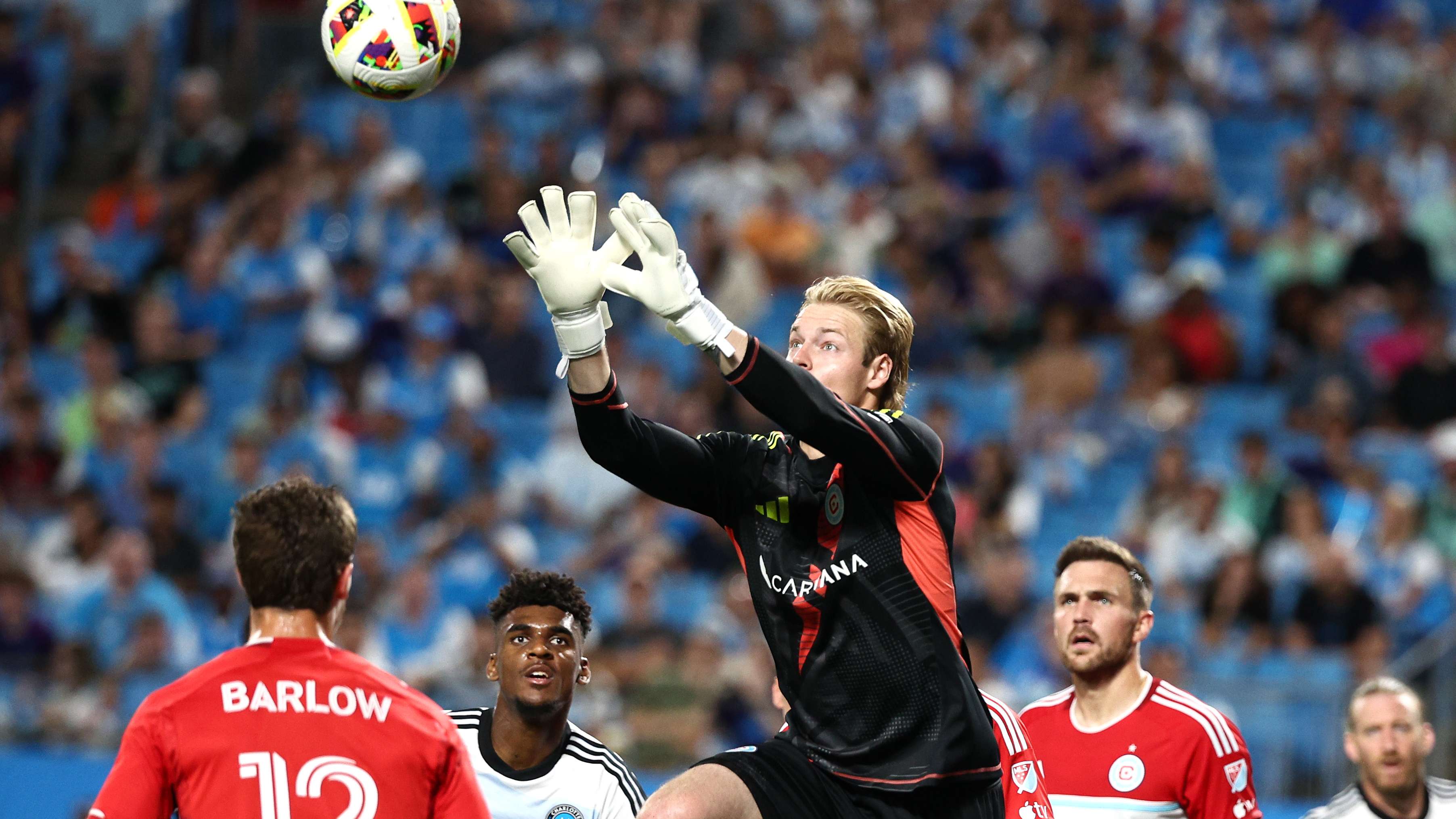 聚焦于壁纸 聚焦于壁纸