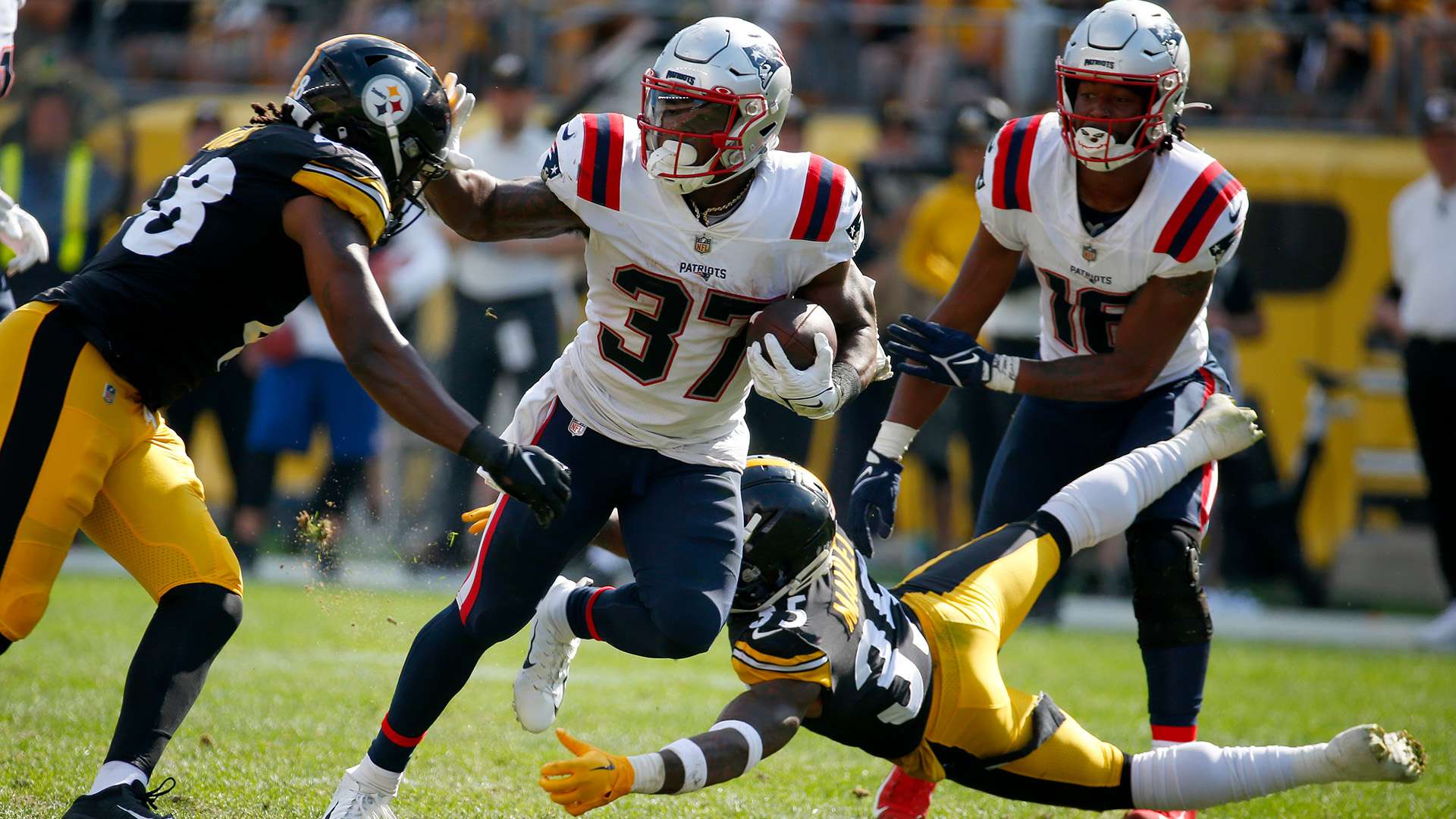 C罗女友乔治娜惊艳亮相活动身穿紫色紧身裙完美展现迷人美腿